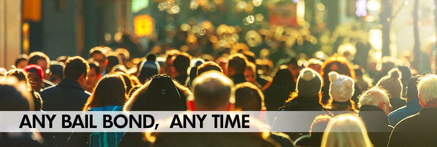 Bail bond in NYC, and the entire state of New York