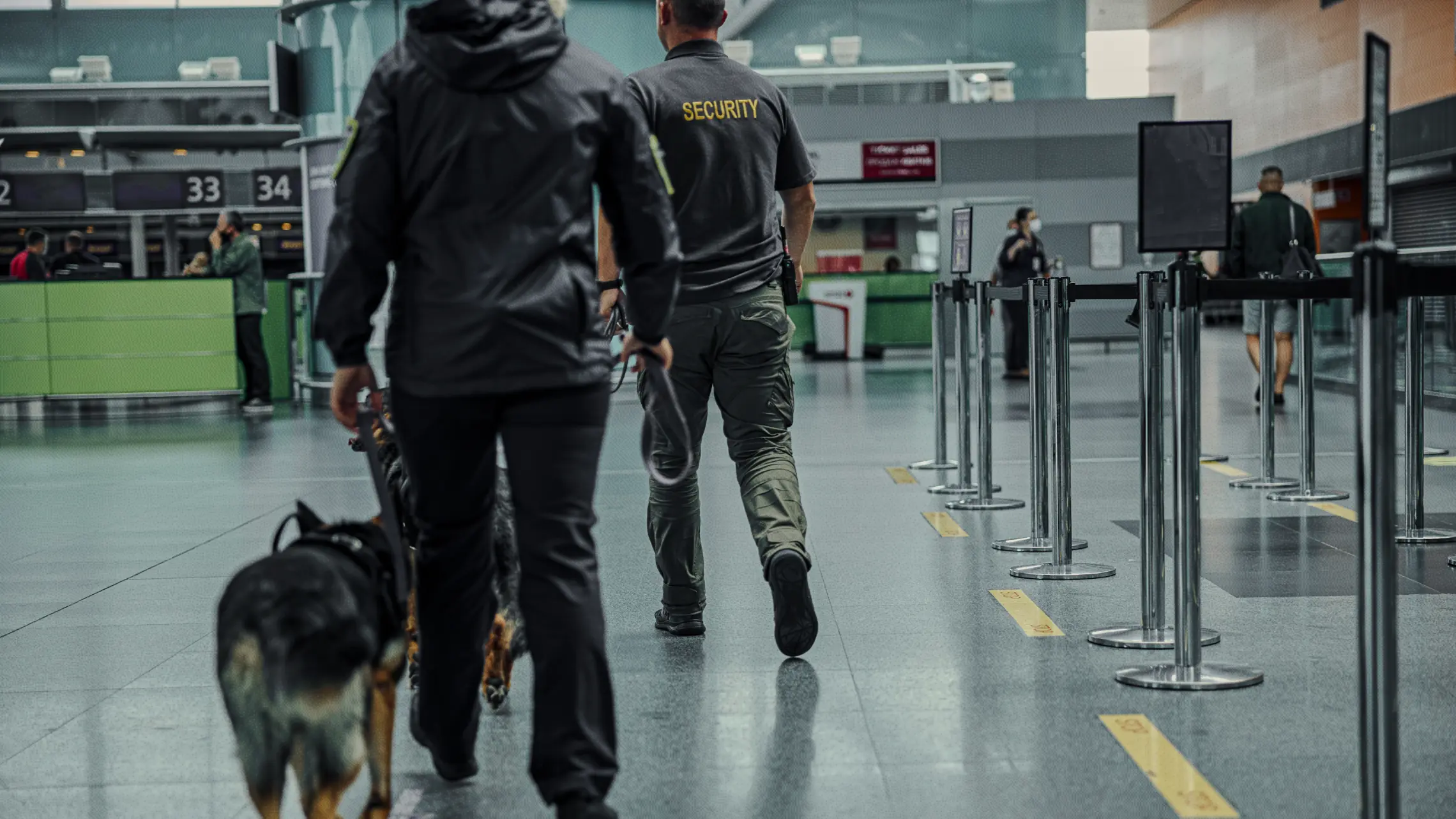 Airport security walking through terminal with security dogs