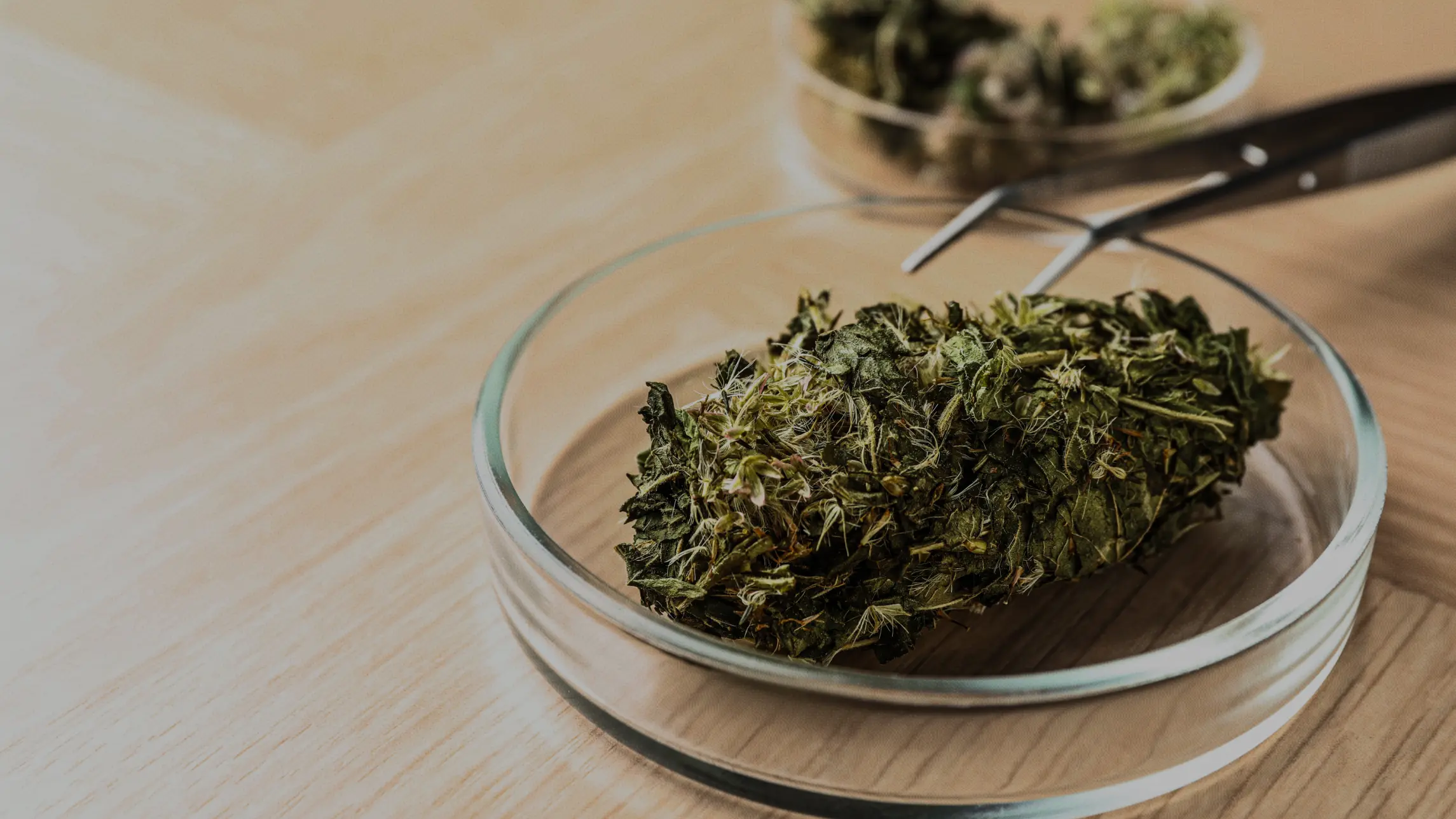 Marijuana in glass container