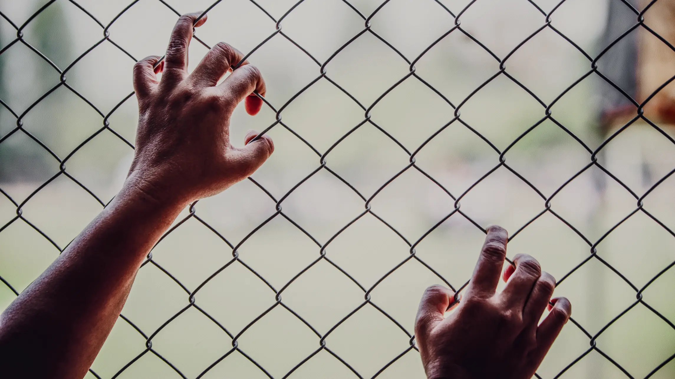 Person climbing chainlink fence